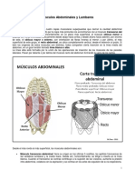 08 Musc Abd Lumbar Es