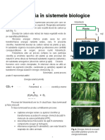 Energia in Sistemele Biologice