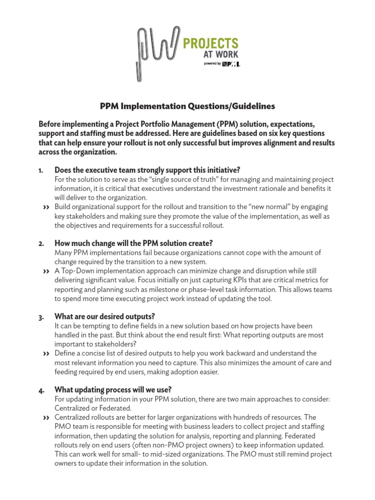 PPM Implementation Guidelines | PDF | Project Management | Accountability