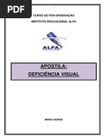 DEFICIÊNCIA VISUAL.pdf