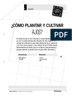 Como Plantar y Cultivar Ajos