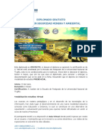 Diplomado Gratuito - Gestión en Seguridad Minera y Ambiental.pdf