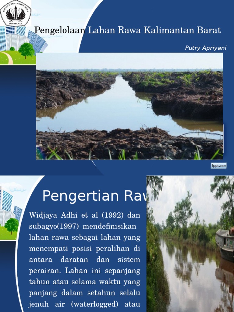 Pengelolaan Lahan Rawa