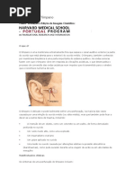 Perfuração Do Tímpano