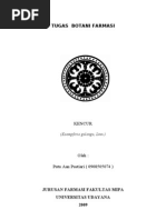 Download kencur_botanifarmasi by Putu Aan Pustiari SN31664365 doc pdf