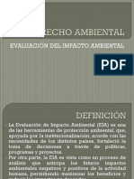 Estudio Impacto Ambiental PDF