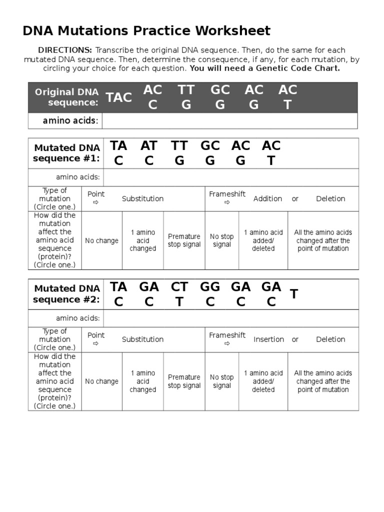 dna mutations practice worksheet  Point Mutation  Mutation