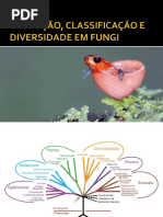 Evolução_classificação e Diversidade
