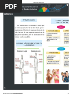 Descargar Una Noche De Verano Gerri Hill Pdf