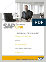 Manual Entorno SAP