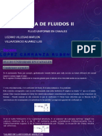 Fluidos II