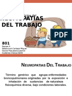 Neumopatias Del Trabajo