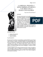 Rionda%2c La Mipyme en México y Su Relación Con La Producción Flexible