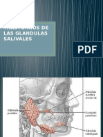 Trastornos de Las Glandulas Salivales