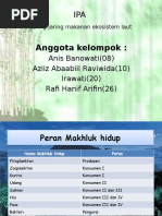 Download Jaring-jaring Makanan Ekosistem Laut by Triana Kusuma Jati SN316671485 doc pdf