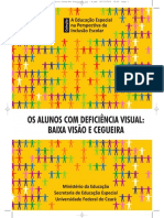 AEE para Pessoas Com Cegueira e Baixa Visão PDF