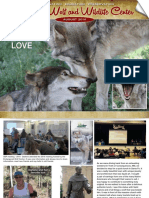 Colorado Wolf and Wildlife Center: Looks Like