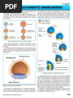13 - Desenvolvimento Embrion_rio OK MED