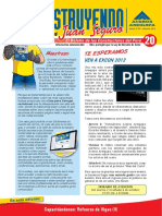 Boletin Construyendo 20 PDF