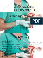 Fisiologi Saluran Reproduksi Wanita