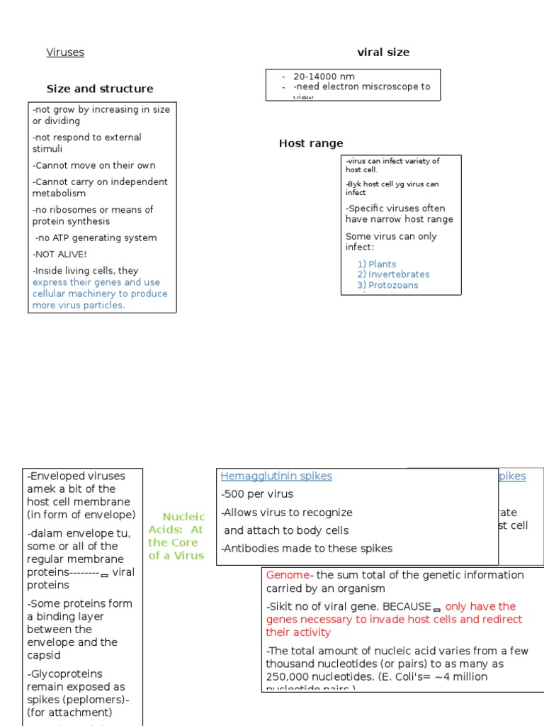 Viruses: Viral Size | PDF | Retrovirus | Virus