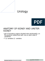 Kidney and Ureter Anatomy