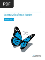 Salesforce Basics