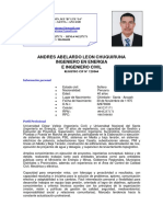 CURRICULUM-andres Ok PDF