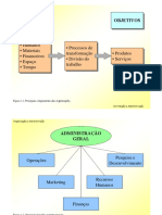Capitulo1-Organizacao Administracao PDF