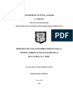 Propuesta Ordenamiento Ambiental Huacachina PDF