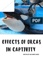 Luci Hipper-Smith Effects of Orcas in Captivity