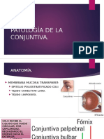 Patología de La Conjuntiva