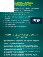 Diapositiva de Filiacion Extramatrimonial