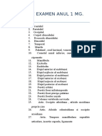 Subiecte Examen Anul 1 MG