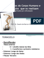 Músculos e Movimentos PDF