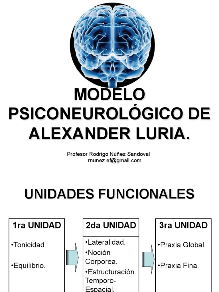 Modelo Psiconeurológico de Luria | PDF | Percepción | Hora