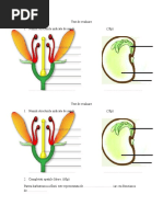 Test de Evaluare Organe de Inmultire