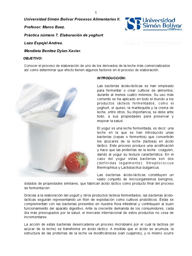 La importancia de las cepas y fermentos de los yogures en la salud 