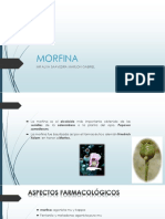 Morfina Expo