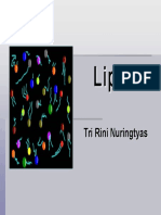 Lipid.pdf