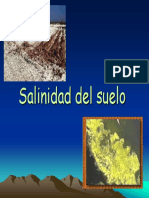 Tema 11 Salinidad Del Suelo[1]