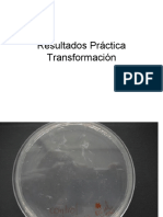 Laboratorio Calculo Eficiencia Transformacion - Analisis Resultados Transformacion PDF