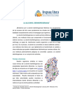 Alcohol Deshidrogenasa PDF