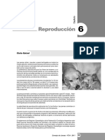 6° Capítulo - Reproducción en Caninos.pdf