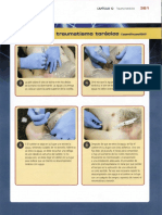 13trauma Abdominal