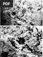 Xafter Action Report (82nd Airborne Division), Part 2 PDF