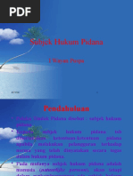Download Subyek Hukum Pidana by P Wijaya Kusuma SN316817555 doc pdf