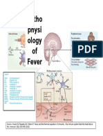 Patofisiologi demam