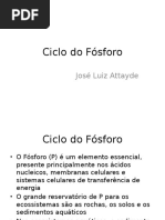 Aula 08 Ciclo Do Fósforo