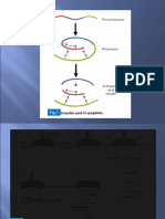 Clinical Biochem-Lecture2(DM)